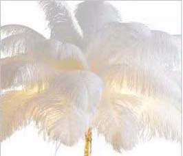 (New) All copper inclined rod feather floor lamp Designer original LED living room bedroom pure copper branch floor lamp